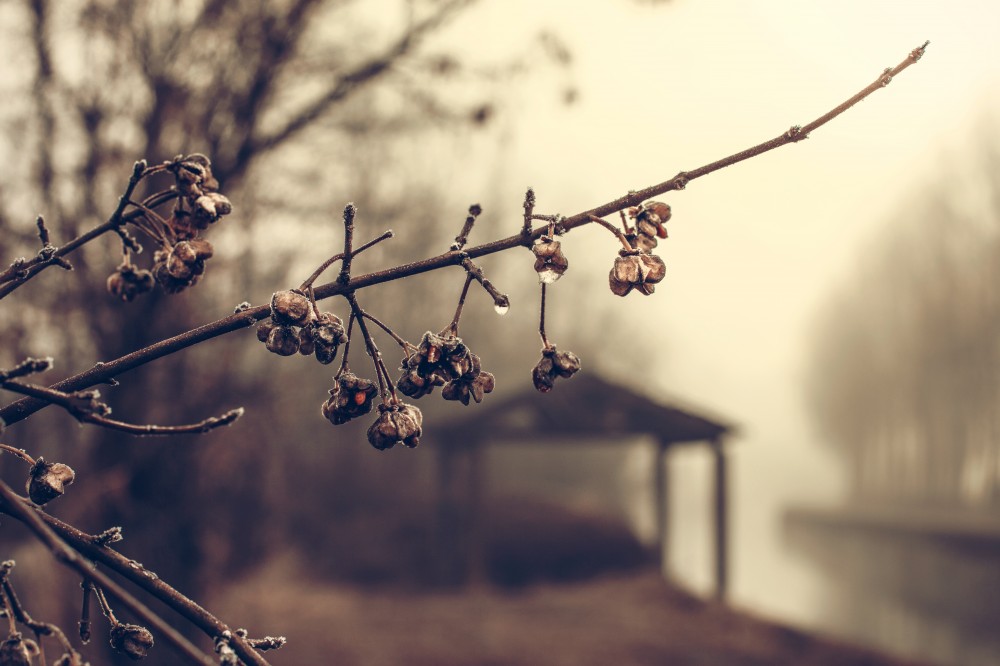 public-domain-images-archive-high-quality-resolution-free-download-splitshire-0009