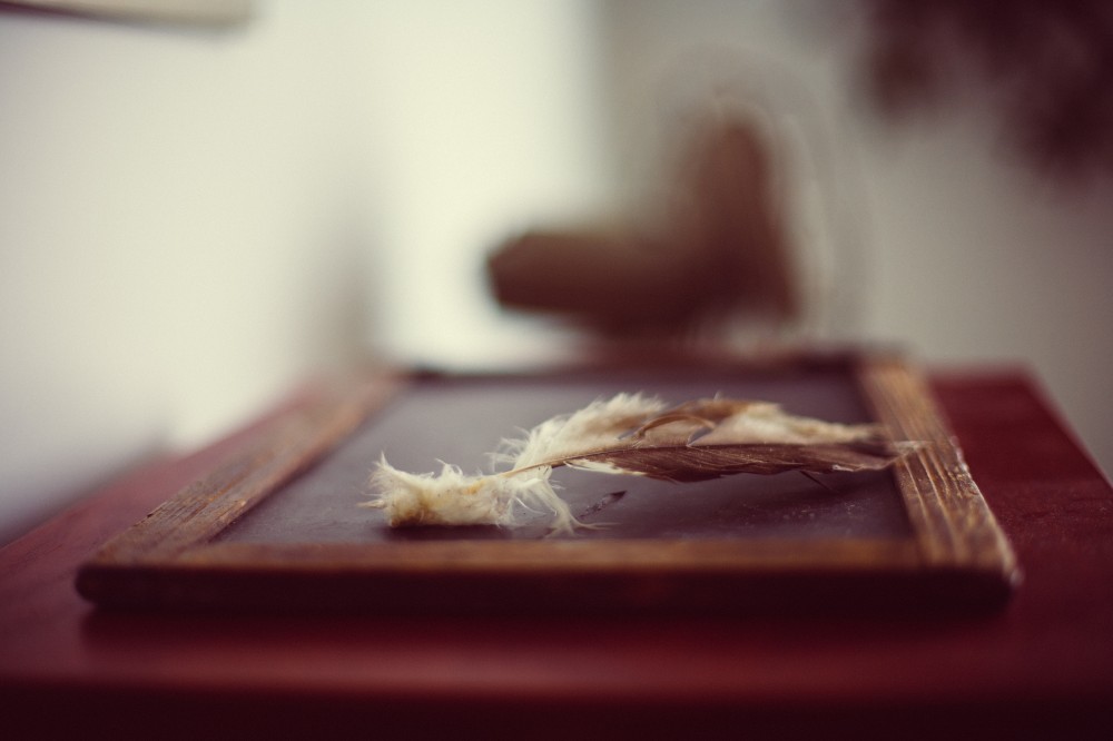 Old Chalkboard Eagle Feather