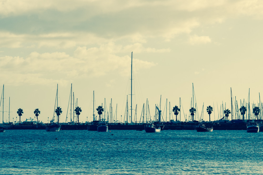 Public Domain Images - .com - Blue Water Ocean Sailboats Palm Trees Clouds