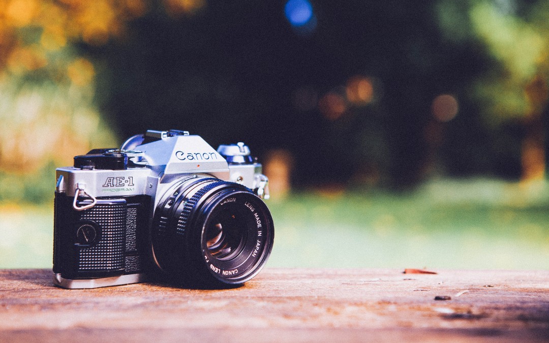 65 Free High Resolution Public Domain Images