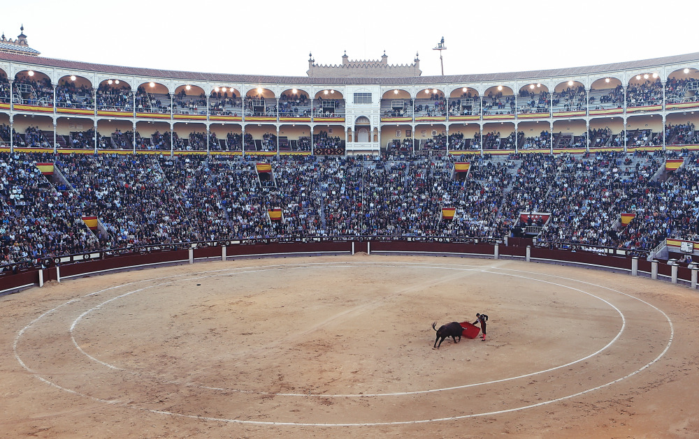 Public Domain Images Bull Fight Stadium Spain Madrid