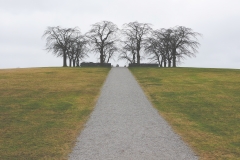 public-domain-images-free-high-quality-resolution-2014-02-25-0006